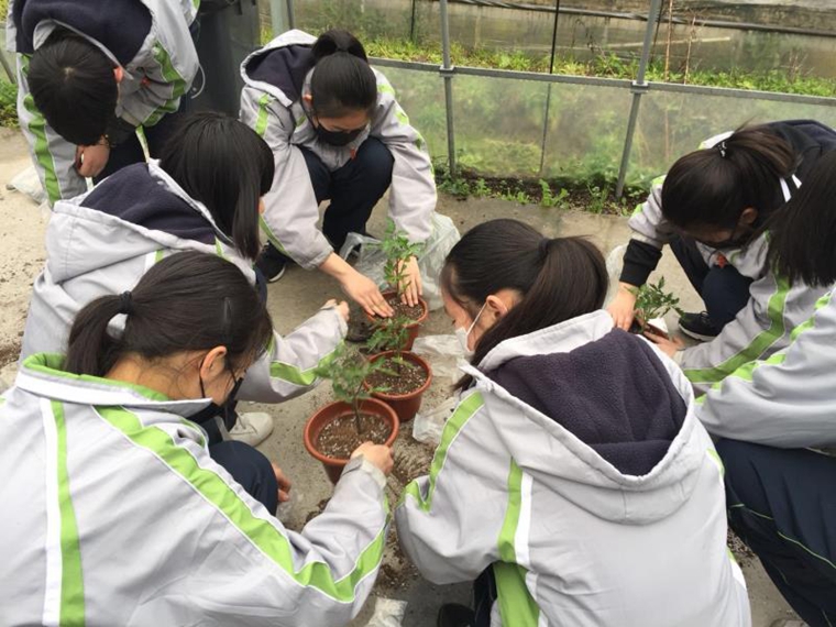 同学们以小组为单位，共同学习、研究基地的植物，又体验了毛豆种植过程，乐趣无穷.jpg